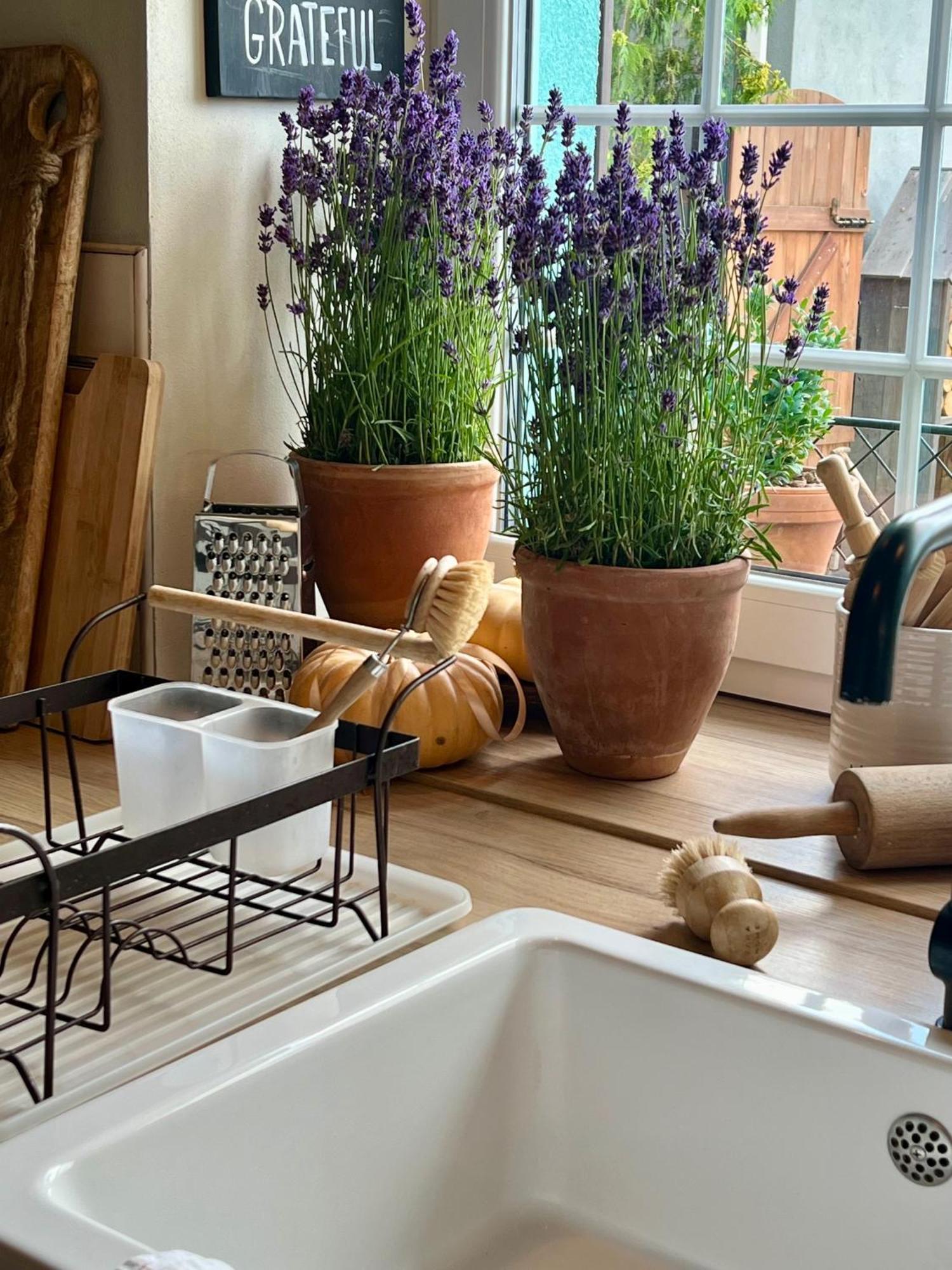Orchardhouse Farmhouse, Wellness Chrast  외부 사진