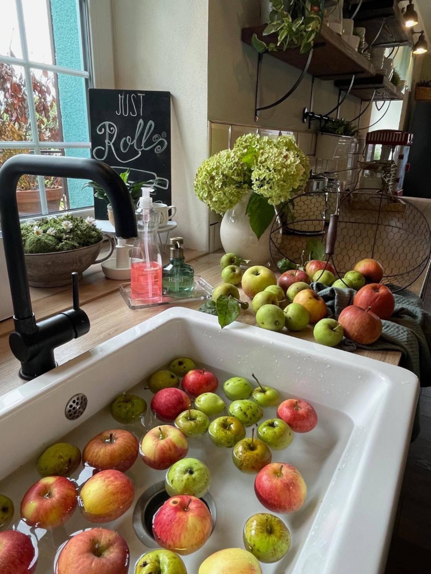 Orchardhouse Farmhouse, Wellness Chrast  외부 사진