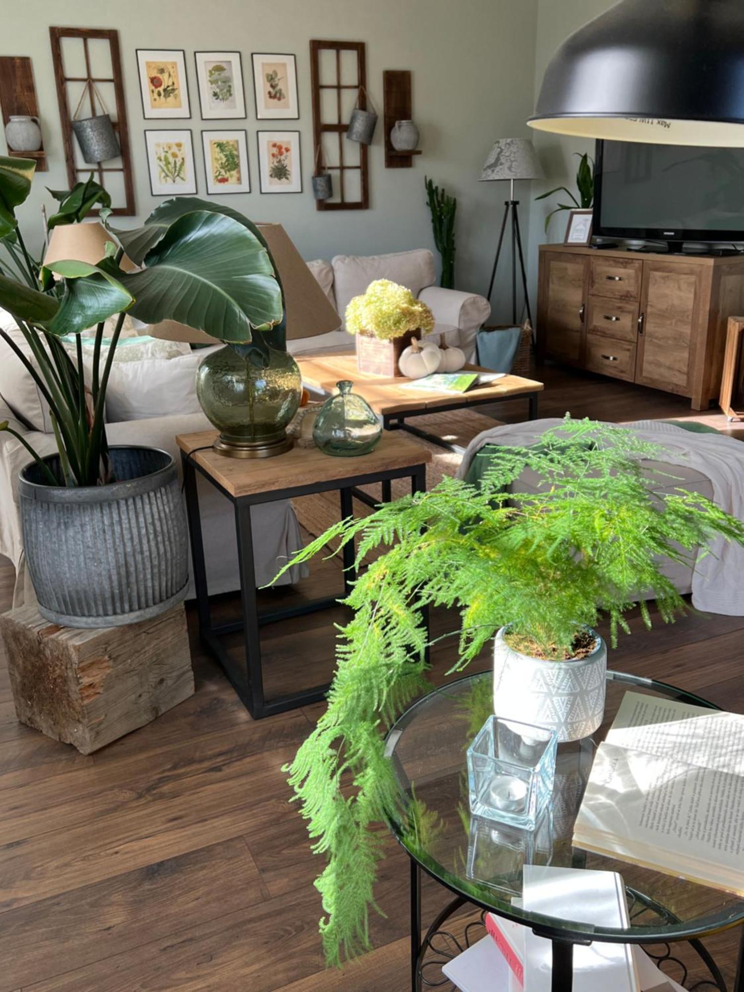 Orchardhouse Farmhouse, Wellness Chrast  외부 사진